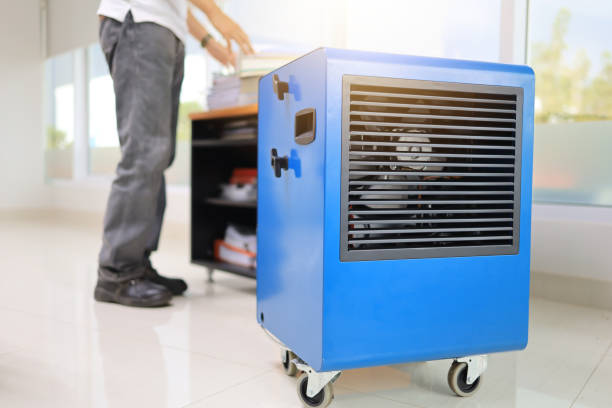  Brooks, KY Mold Removal Pros