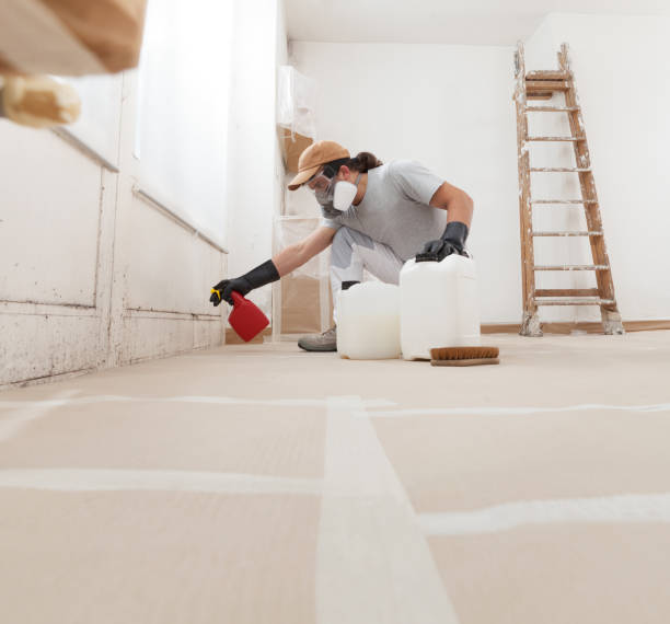 Mold Removal for HVAC Installations in Brooks, KY