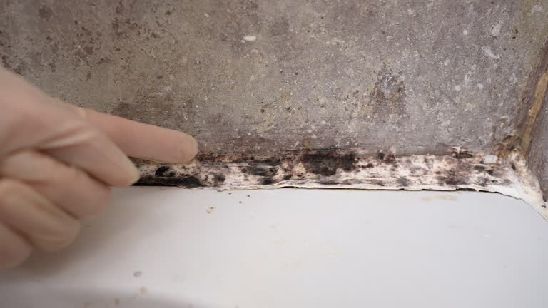 Mold Remediation for Rental Properties in Brooks, KY